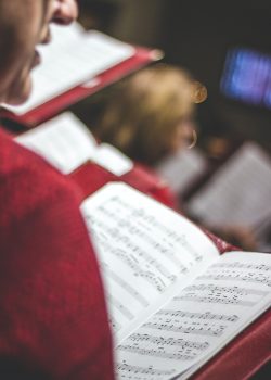 david-beale-rU4kvQKjG2o-unsplash